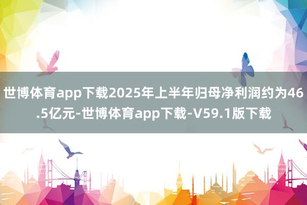 世博体育app下载2025年上半年归母净利润约为46.5亿元-世博体育app下载-V59.1版下载